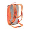 Mochila Speed Lite 13L Deuter