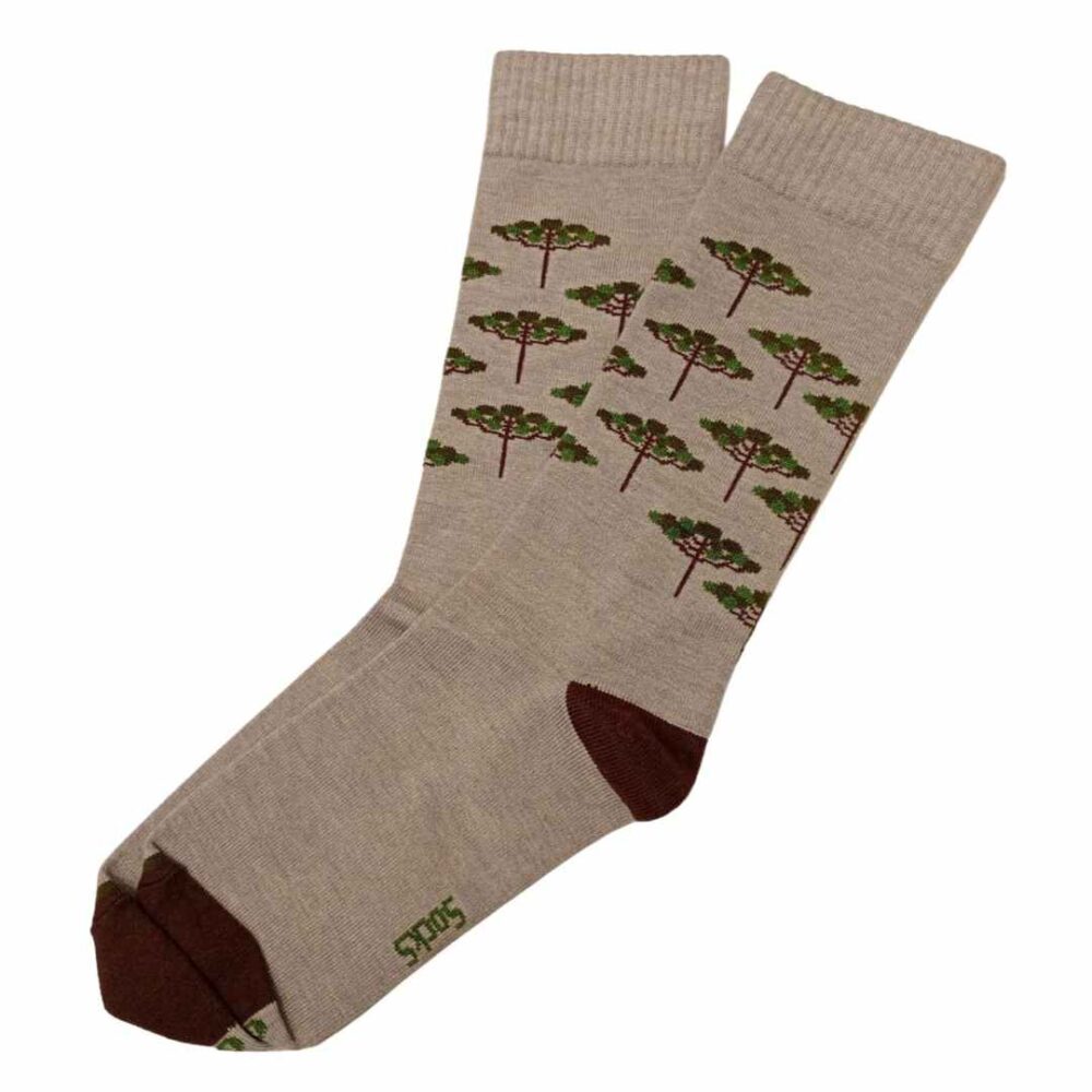 Meia Cano Médio Araucária Mountain Socks 1